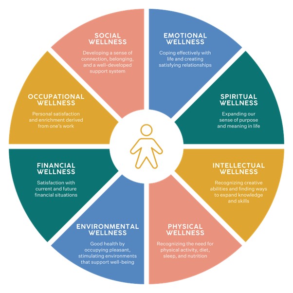 meteoriQs Technologies Pvt Ltd - Mobility Software Product Development ...