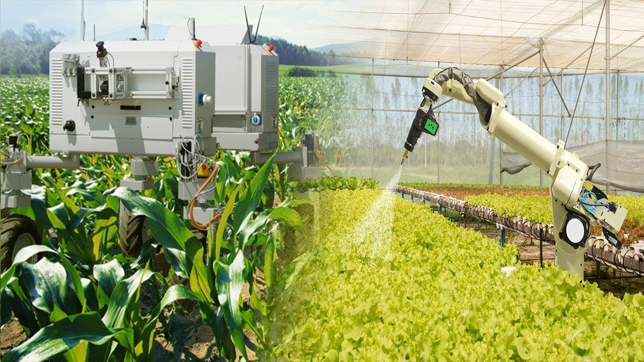 The Impact of IT Technology in the Agriculture and Agritech Industry